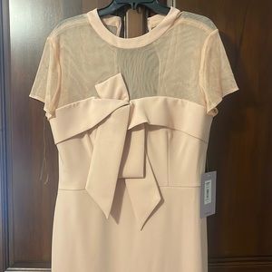 NWT Blush Dress SZ 12